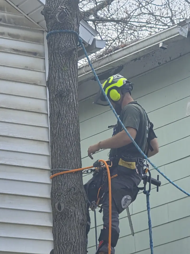 Climber rigging a trunk beside a house