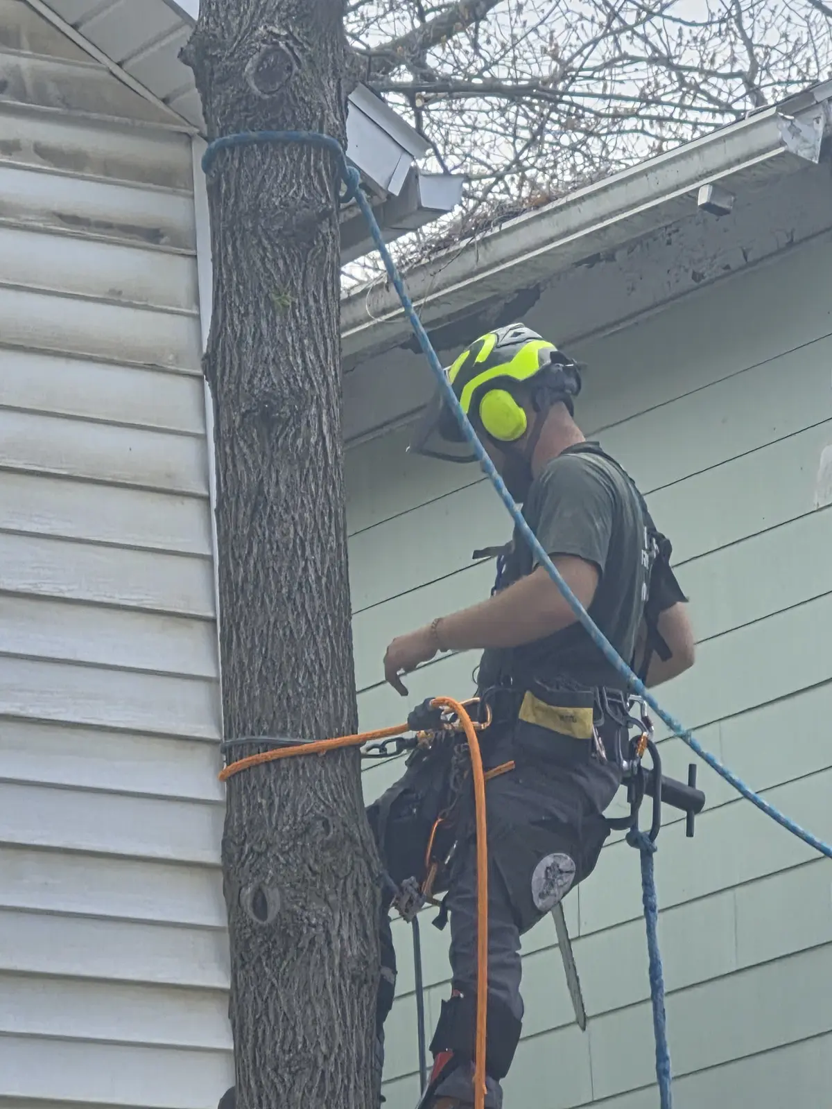 Climber rigging a trunk beside a house