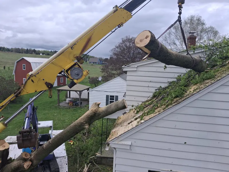 Crane lifting a log section off a roof