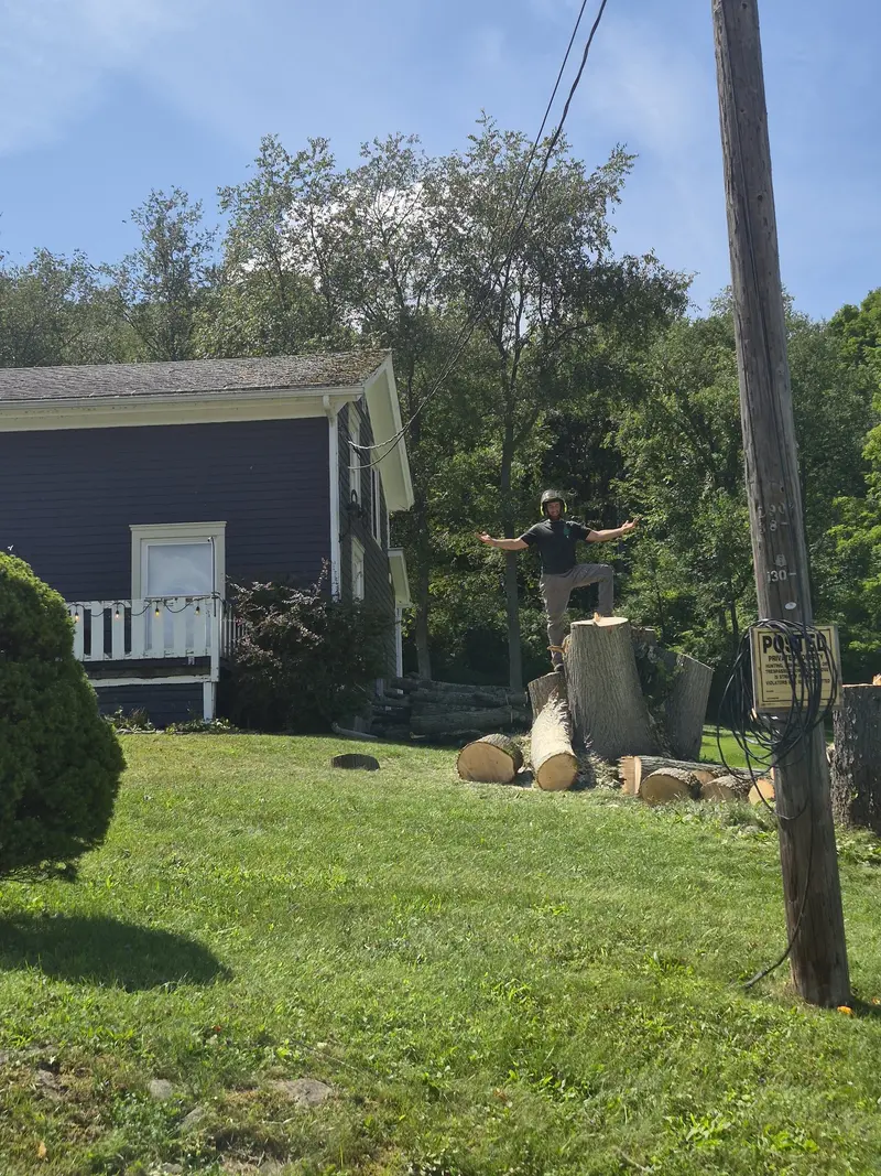 Jason Tubbs standing on the stump after the removal