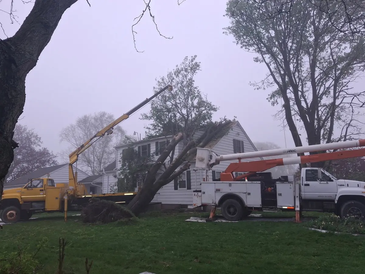 Uprooted tree leaning on a house with a crane and bucket truck set up for removal