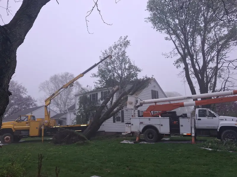 Uprooted tree on a house with crane and bucket truck