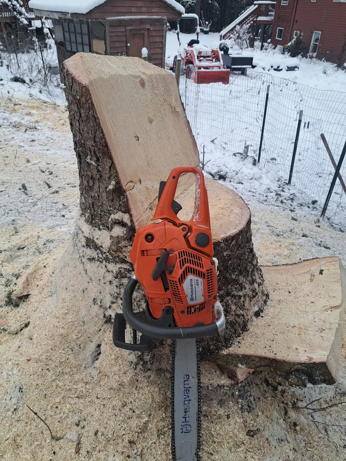 Fresh-cut stump after a tree removal in winter
