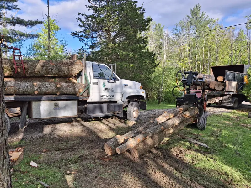 Truck loaded with logs and a log grapple