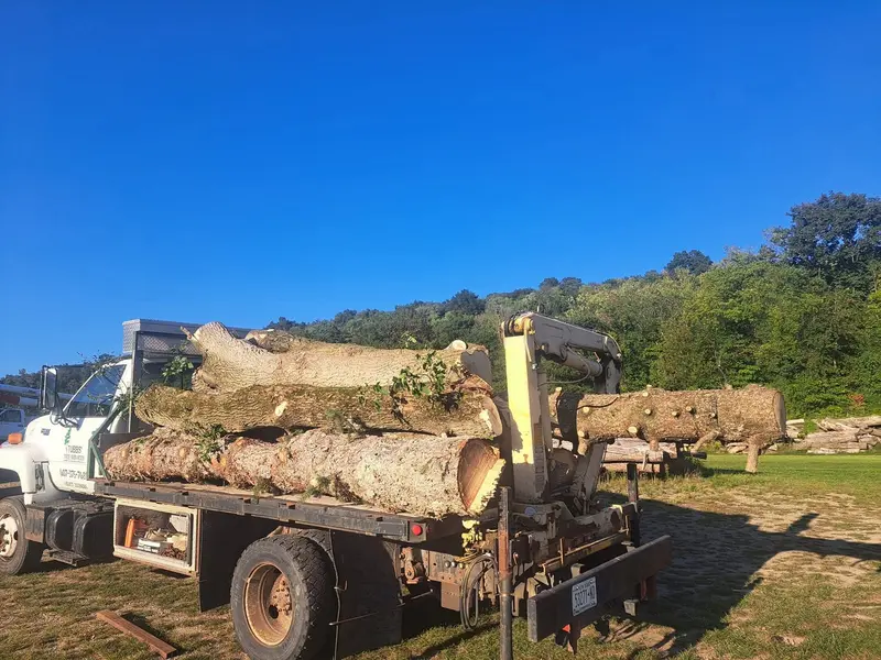 Truck with knuckle boom loaded with large logs