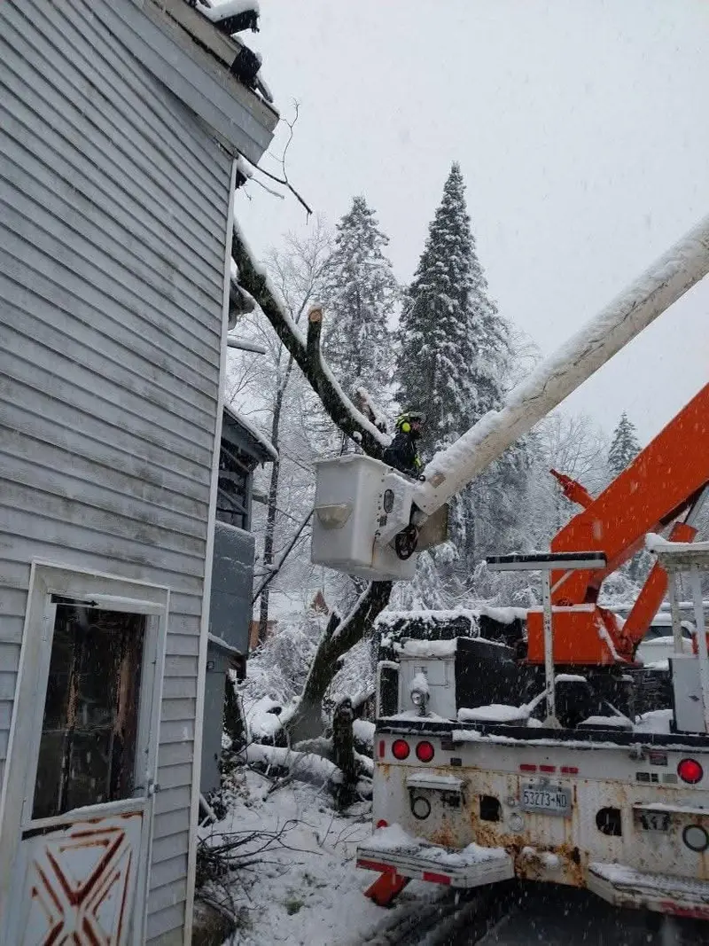 Bucket truck working a tree against a house in snow